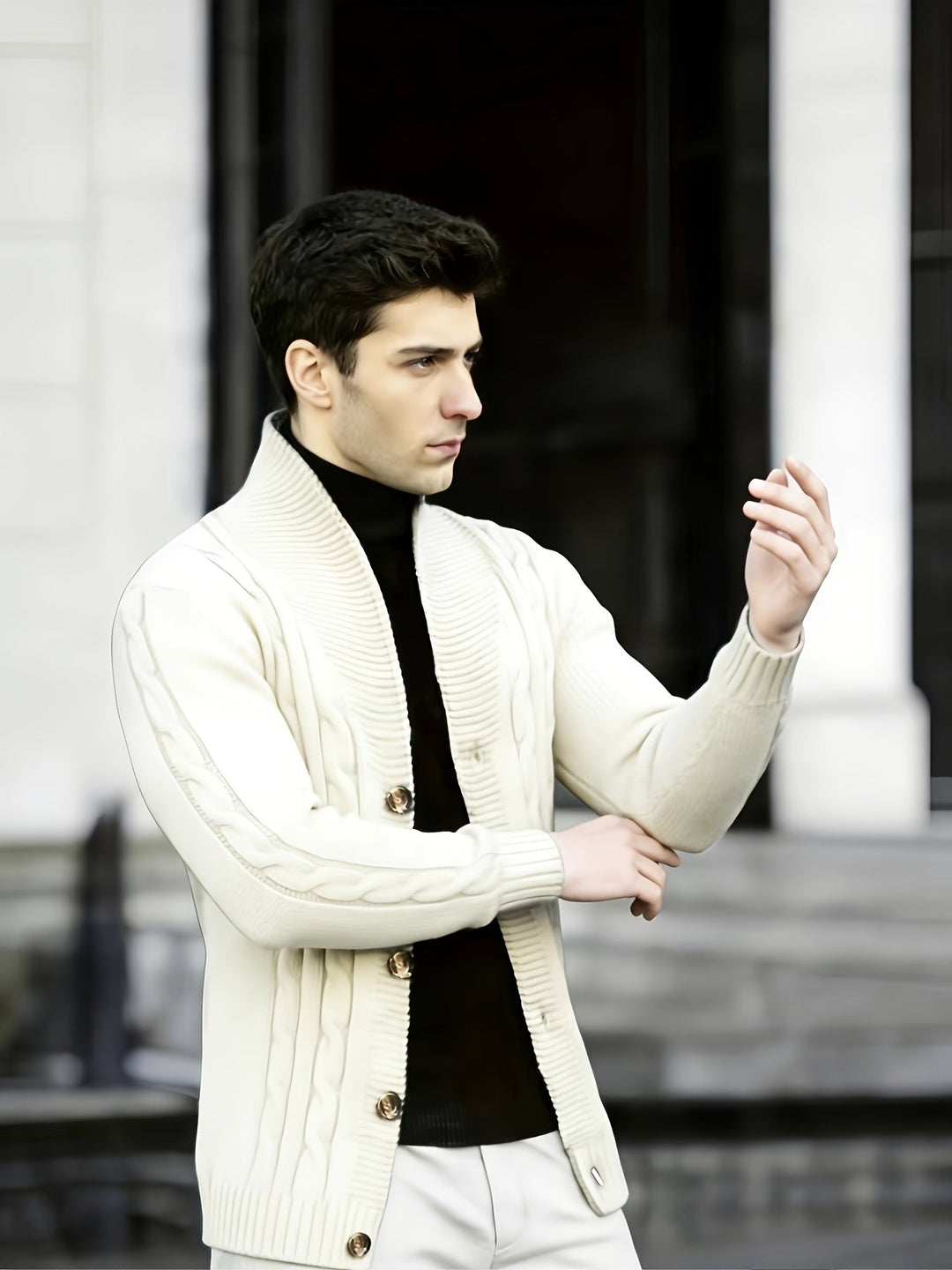 Dravken | Herren Strickjacke Zopfmuster Schalkragen - Black - Image 11