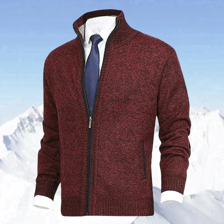 Rolvand | Herren Strickjacke Reißverschluss Stehkragen - Beige - Image 6